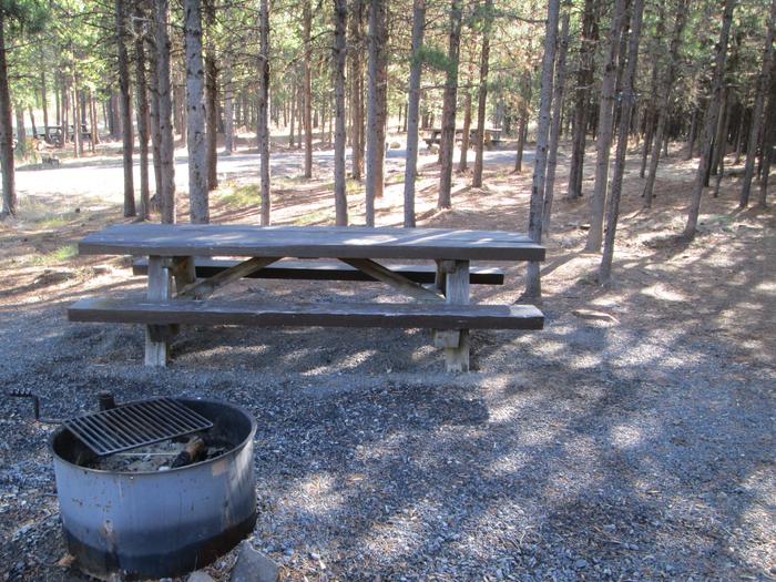 campsite picnic table and fire ringNFJD Campground site #12