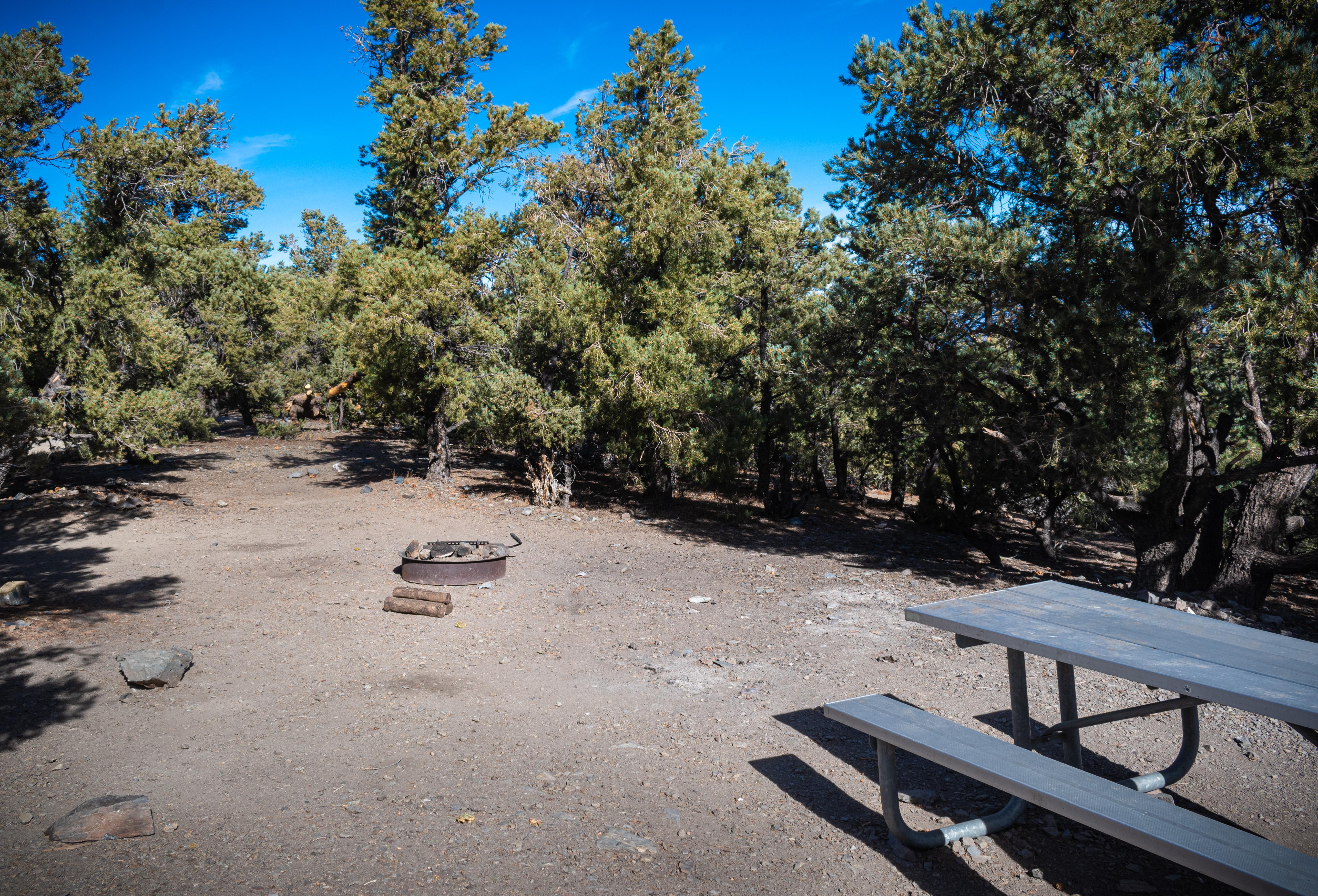 Mahogany Flat Campground (Primitive)