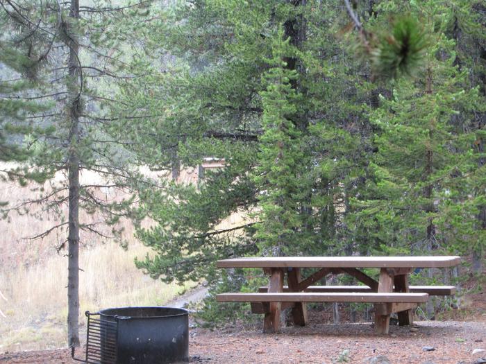 campsite picnic table and fire ringOlive Lake Campground site #8