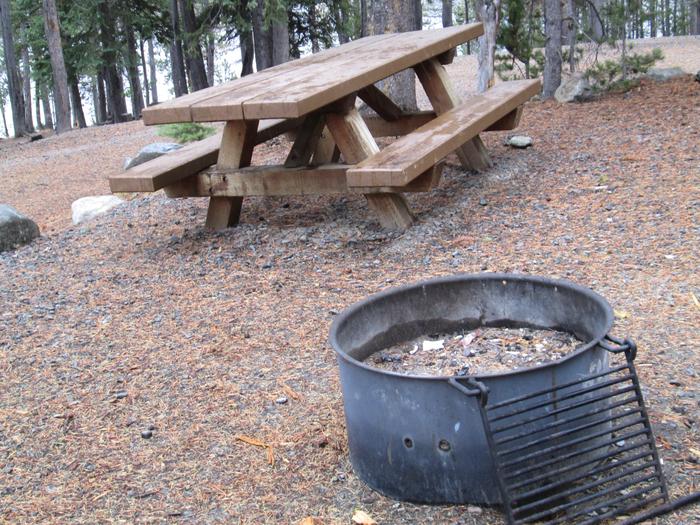 campsite picnic table and fire ringOlive Lake Campground site #11