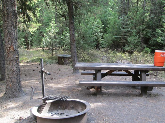 campsite picnic area and fire ringBull Prairie Lake site #6