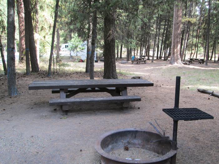 camp site picnic table and fire ringBull Prairie Lake site #7