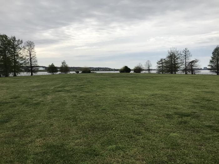 A view of the Hains Point Mixed Use Field looking out toward the Potomac River and Washington Channel. A grassy field bordered by trees.Hains Point Mixed Use Field