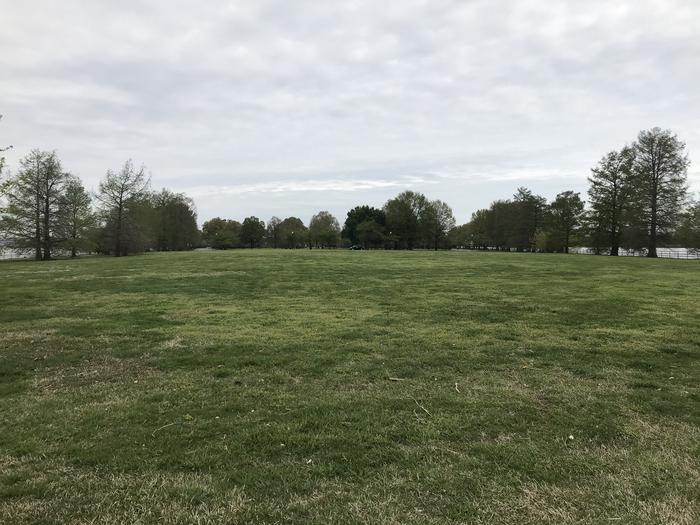 A view of the Hains Point Mixed Use Field looking back toward Hains point. A grassy field bordered by trees.