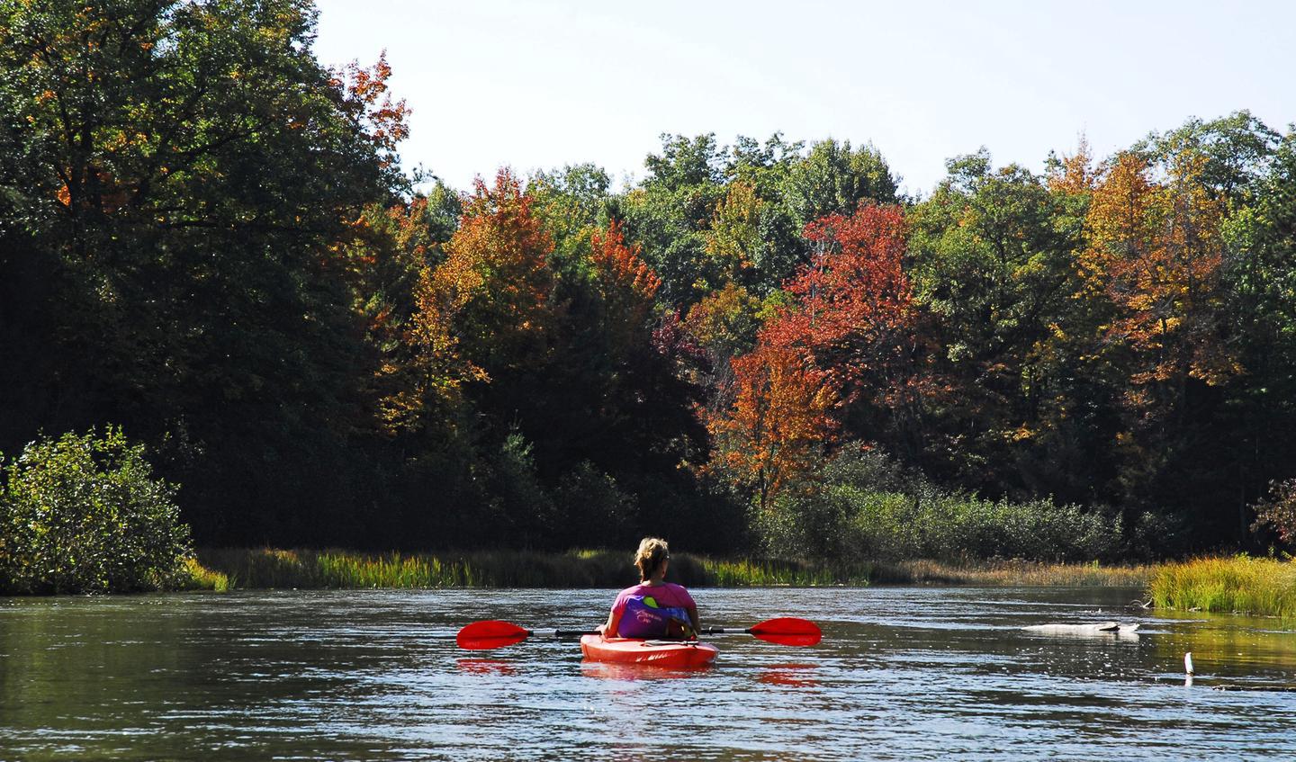 A fall paddle down the riverA quiet paddle through fall splendor.