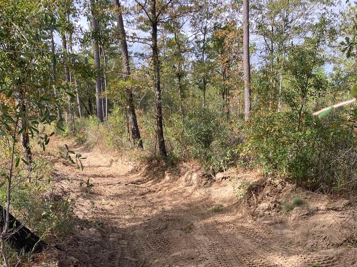 Preview photo of Wambaw Cycle Trail
