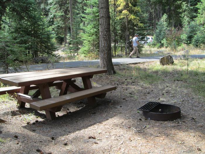 campsite picnic table and fire ringBull Prairie Lake Campground site #14