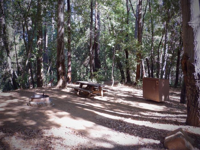 School House Campsite 31Fire ring, picnic table and bear box