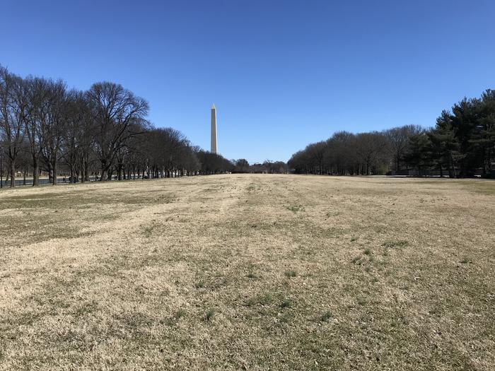 The photo shows an open grassy field flanked by trees. The Washington Monument can be seen in the background.Field M6