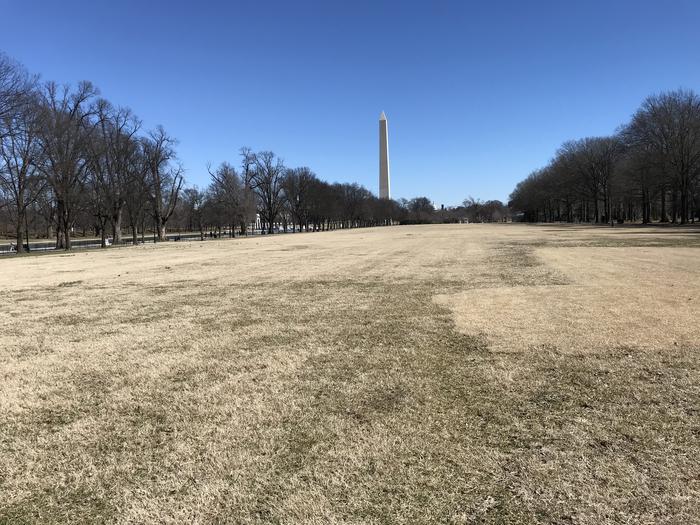 The photo shows an open grassy field flanked by trees. The Washington Monument can be seen in the background.Field M7