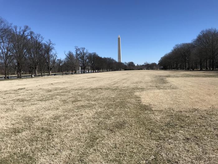 The photo shows an open grassy field flanked by trees. The Washington Monument can be seen in the background.