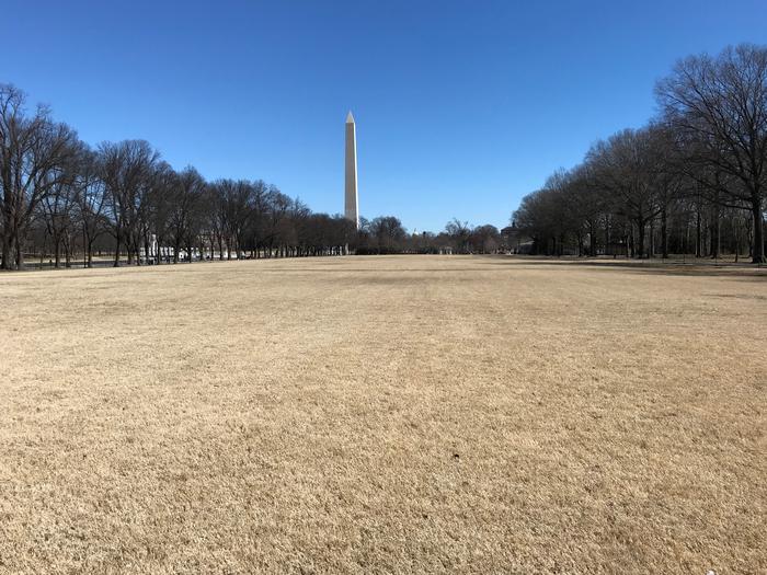 The photo shows an open grassy field flanked by trees. The Washington Monument can be seen in the background.Field M8