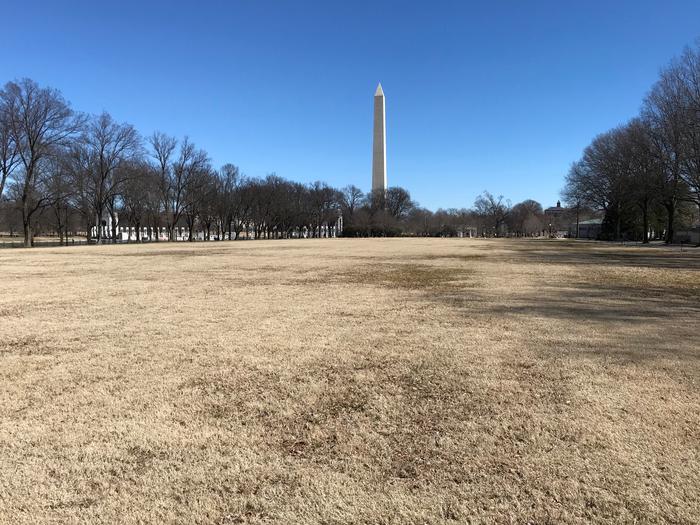 The photo shows an open grassy field flanked by trees. The Washington Monument can be seen in the background.Field M9