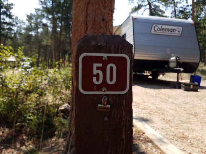 campsite 50