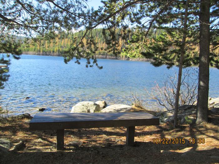 Bench in shade beside lake with trees in the backgroundA peaceful resting place