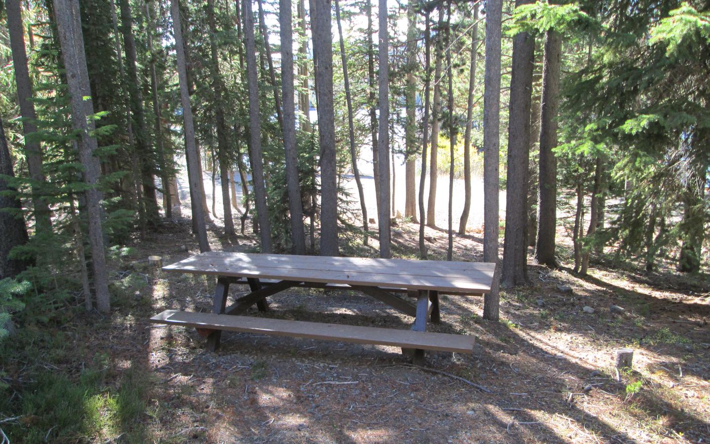 day use picnic tableOlive Lake Campground lower day-use picnic table