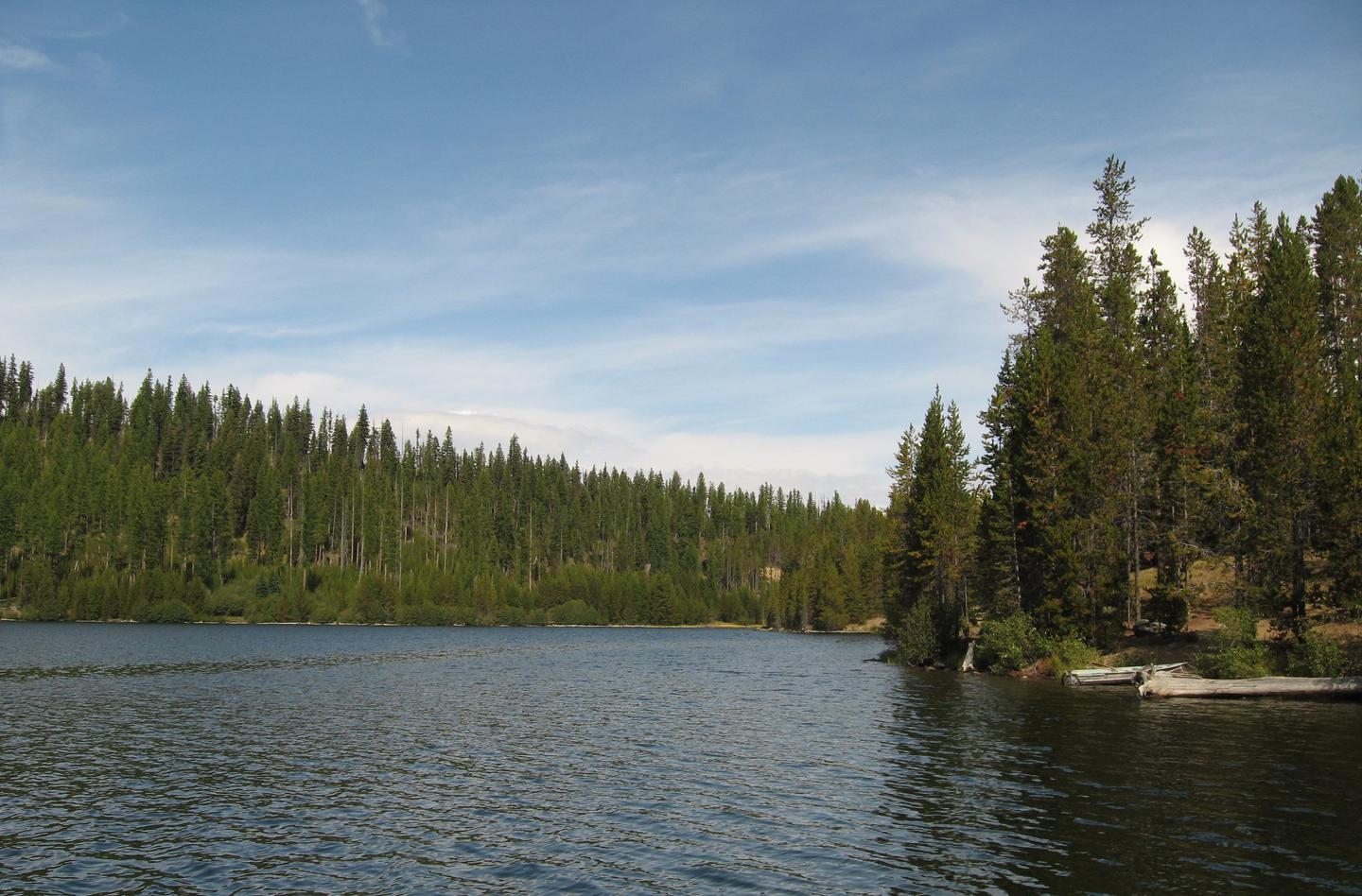 lake water with dense conifers along the shoreOlive Lake