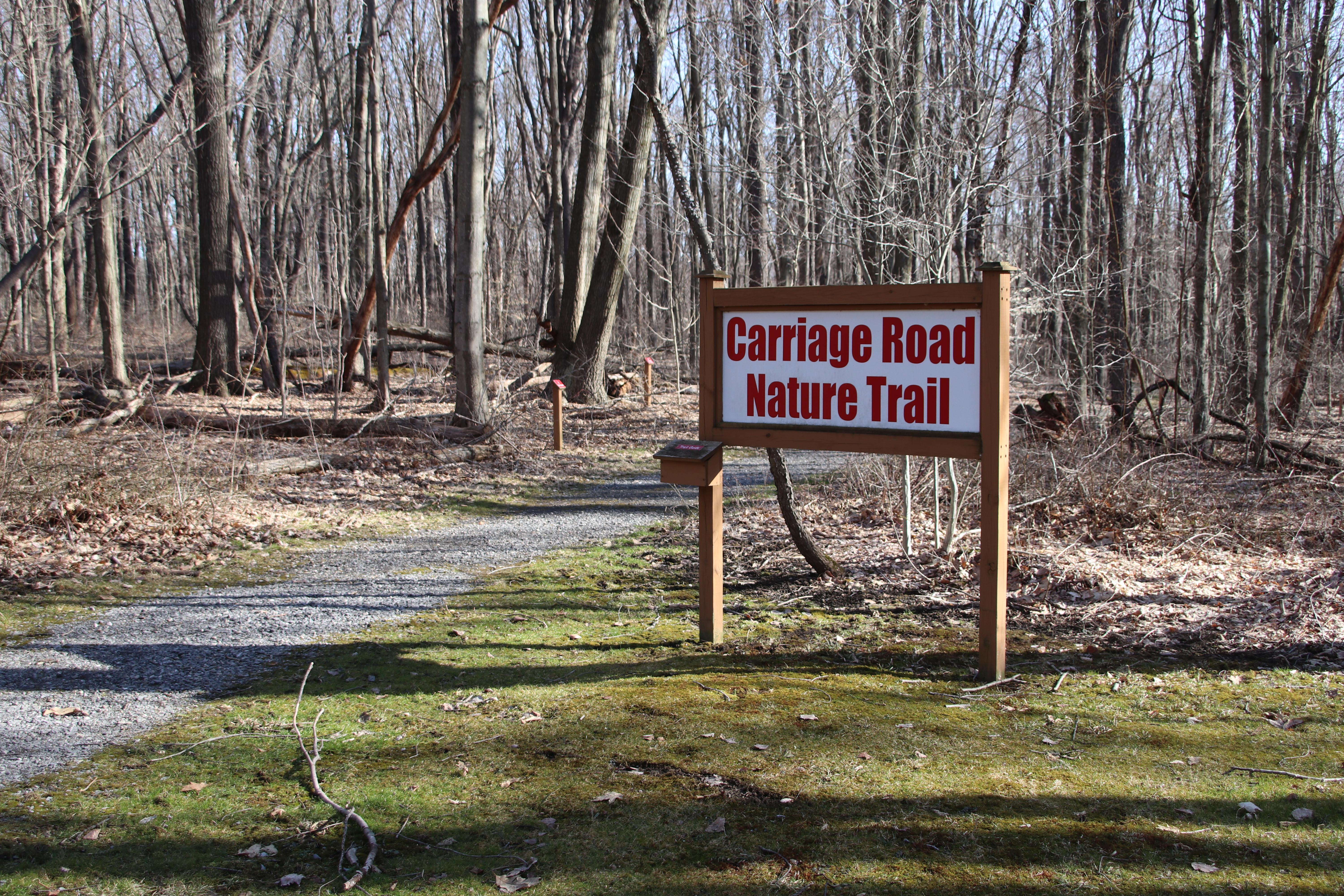 The Carriage Road Nature Trail can be accessed from the picnic area or near the South Abutment.