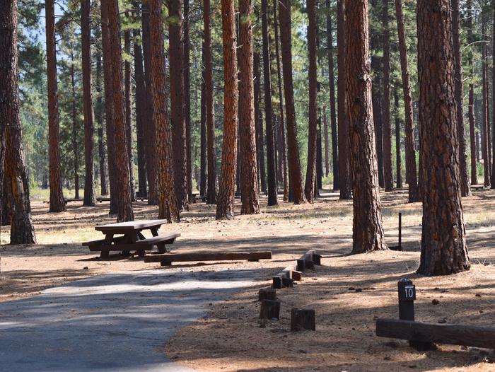 Site #10Eagle Campground, Site #10