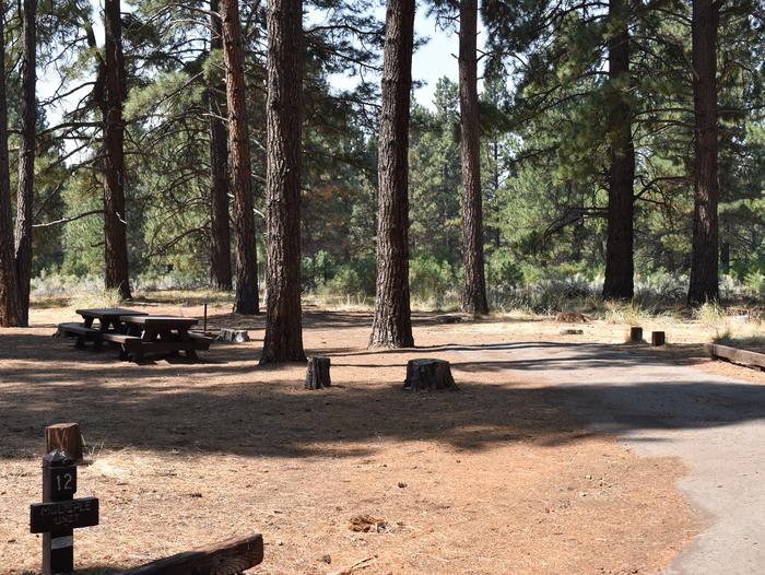 Site #12Eagle Campground, Site #12