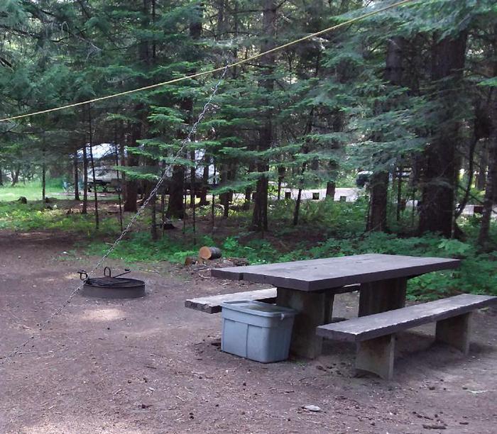Yaak River Site 4-picnic table
