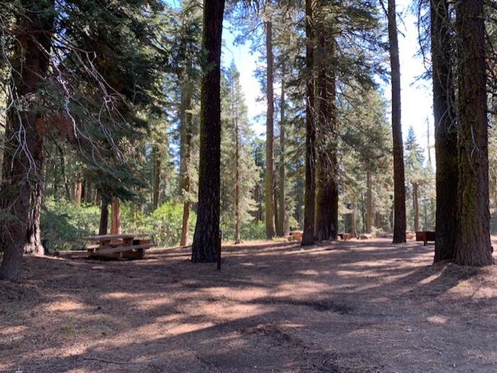 Campground sitesForested campground in Warner Valley