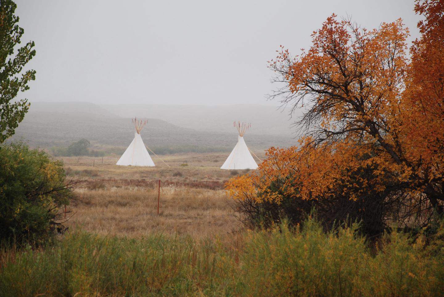 Tipis Across Laramie River in FallTipis were a common scene at Fort Laramie from 1834-1872.  At times, during treaty negotiations dozens of tipis could be found here.