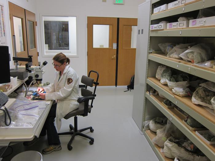 Paleontologist at workThe Thomas Condon Paleontology Center is both a visitor center and research center.
