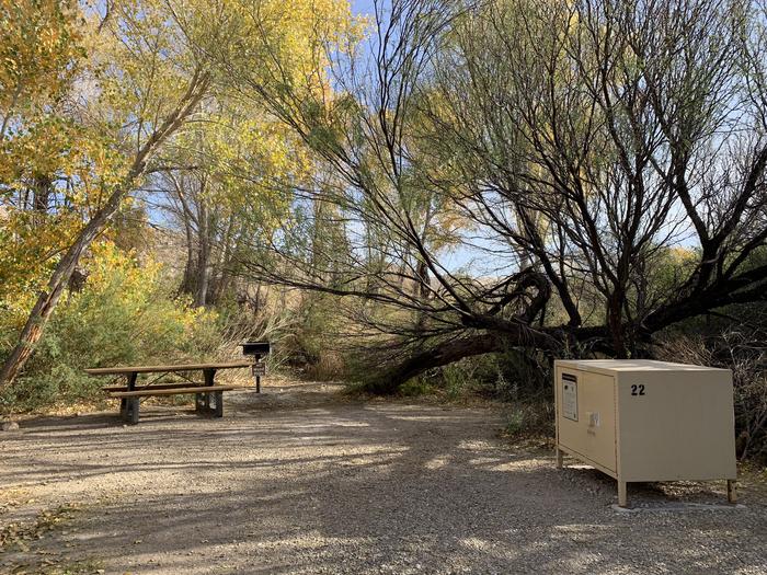A picnic table, metal grill, and bear box sit underneath the shade of trees. View of the campsite underneath the shade of trees.