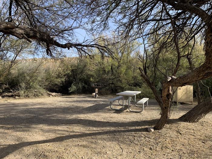 View of the main campsite area. Large trees with low-hanging branches offer shade and privacy, surrounding a picnic table, bear box, and metal grill.View of the main campsite area.