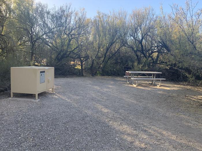 Close-up view of the main campsite area. Trees and bushes surround the area, offering plenty of shade and privacy. A bear box, metal grill, and picnic table are all evenly spaced out to allow a large, clear space in the site.Close-up view of Site 31