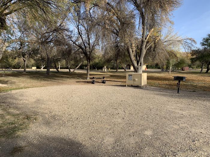 View of the main site area and driveway. The gravel driveway space is large and has a picnic table, bear box, and metal grill sitting on the edge of it. Trees grow in a grassy field just beyond the site, offering plenty of room to setup tents and shelters.View of the driveway and main site area.