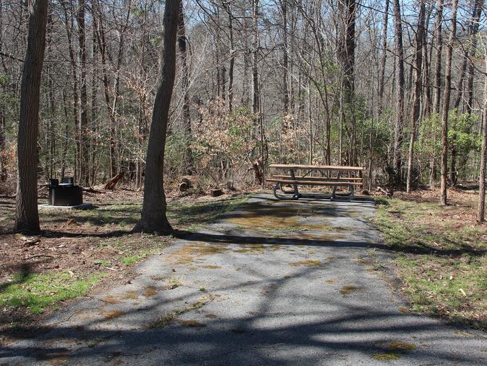 A27  A Loop of the Greenbelt Park Maryland campground