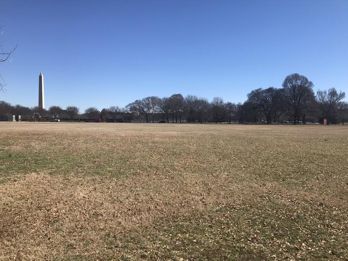 The image shows an open grassy area with trees and the Washington Monument in the background.Field M4