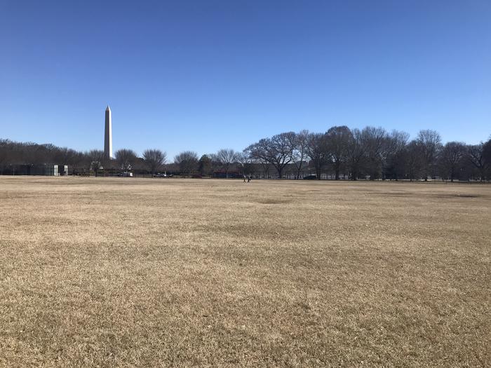 The image shows an open grassy area with trees and the Washington Monument in the background.Field M5