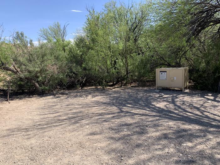 View of the main campsite area. There is a large, cleared space for setting up tents and shelters that is in an open area, with trees and bushes surrounding it for privacy. A bear box sits in the shade at one far end.Close-up view of the main site area