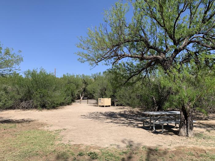 Distant view of the main campsite area. There is a large, cleared space for tents, while a picnic table sits beneath the shade of a lone, growing tree in the site. There is a bear box and metal grill near the path leading to the driveway.View of the main campsite area