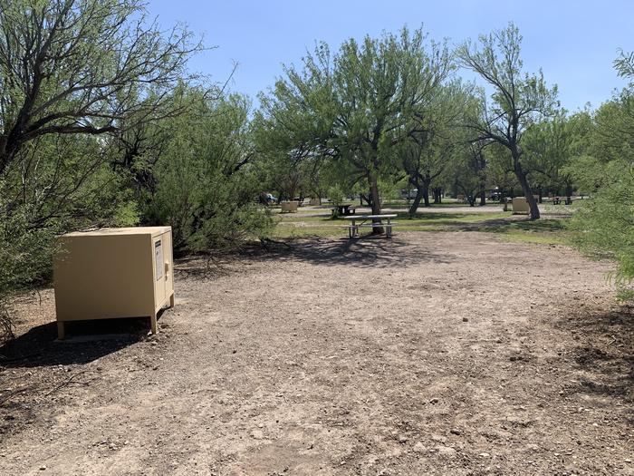 View of the main site area. There is a bear box on one side, with a picnic table underneath the shade of a tree on the other. A grassy field with trees is off in the distance behind site, with other campsites and bear boxes spread out. View of the main site area from the driveway