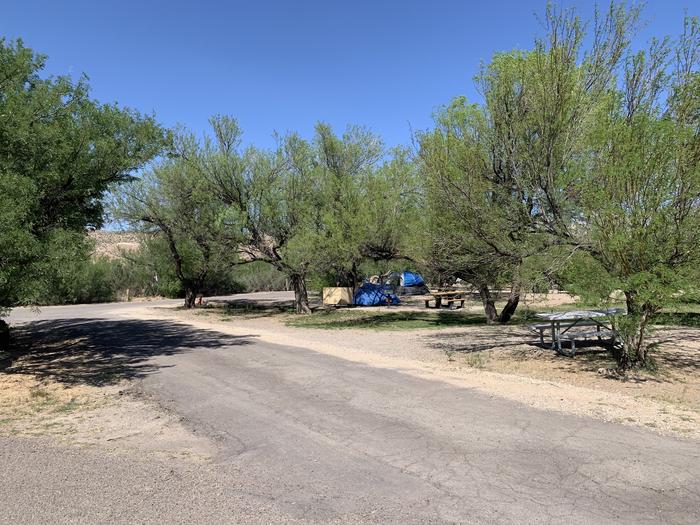 View of the pull-through driveway from the main road. The driveway is long and offers plenty of space for larger RVs and vehicles. Next to the driveway is the main site area, where a picnic table, metal grill, and bear box sit underneath the shade of a small tree. View of the pull-through driveway from the main road