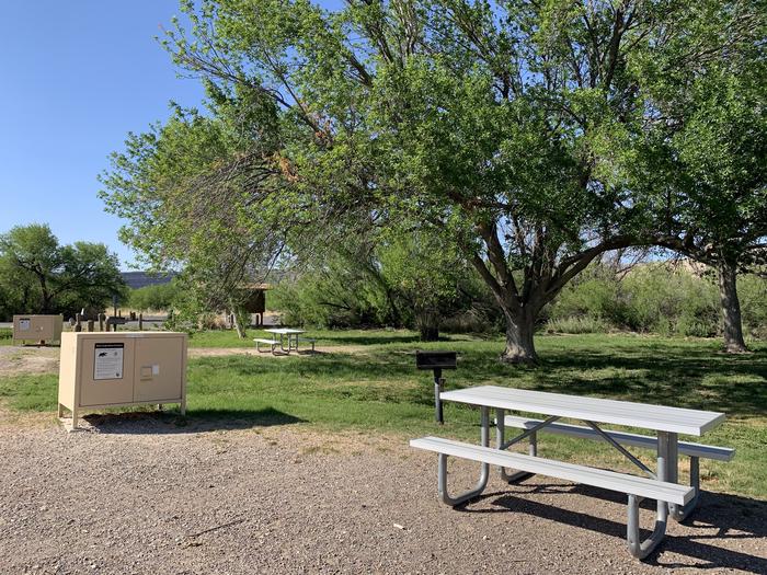 Close-up view of the amenities for site 65. There is a bear box, metal grill, and picnic table on the edge of the site, with a grassy field in the distance to provide additional space to pitch tents or shelters.Close-up view of Site 65
