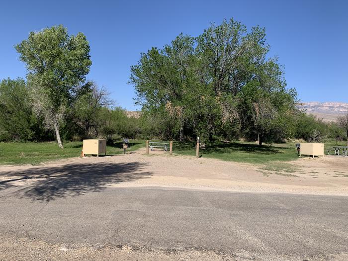Distant view of the main campsite area, from across the pull-through driveway. There is a bear box, metal grill, and picnic table in the site. Additionally, there is a grassy field with cottonwood trees to setup tents and shelters. Neighboring campsites with a bear boxes can be seen to the right. View of the main campsite area from across the road