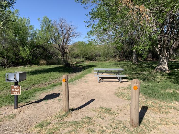 Close-up view of the main campsite area. Three wooden posts prevent drivers from driving into the grassy field next to the parking area. There is a metal grill and a dirt path leading to a picnic table sitting beneath the shade of a large cottonwood tree.Close-up view of the main campsite area