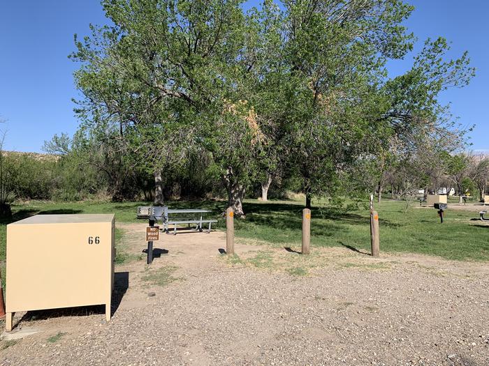 Close-up view of the main campsite area. There is a bear box, metal grill, and picnic table, with plenty of additional space in the grassy field for tents and shelters under a glorious cottonwood tree.Close-up view of the main campsite area