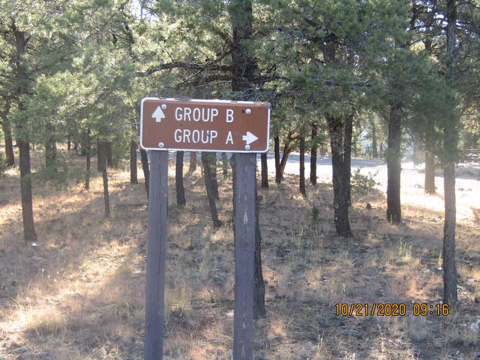 Group site B Camping and RV Group Site B 