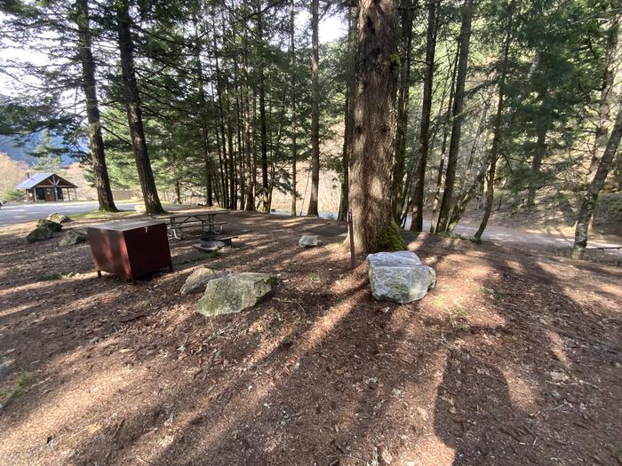 Campsite containing a bear box, picnic table, and campfire ring.View of campsite.