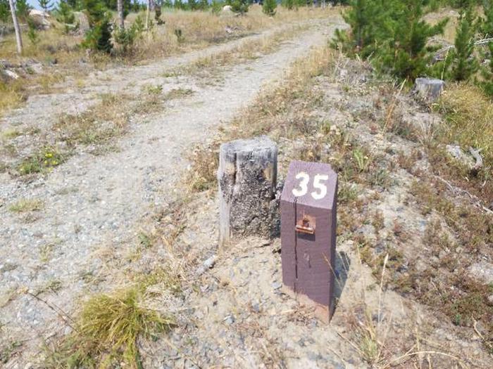 Hog Park Campground Site 35 Photo 3