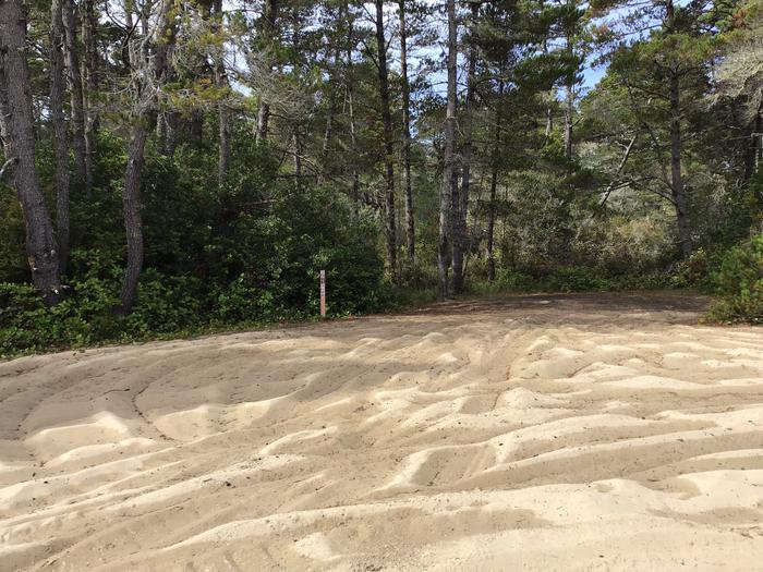 Spinreel Sand Camp Site #61