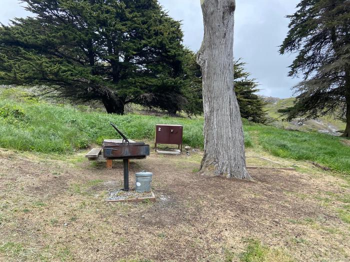 A standing BBQ grill and ash disposal bin, a food storage bin, a picnic table and a tent platform sit beneath a Monterrey cypress tree.Site 2 at Bicentennial Campground