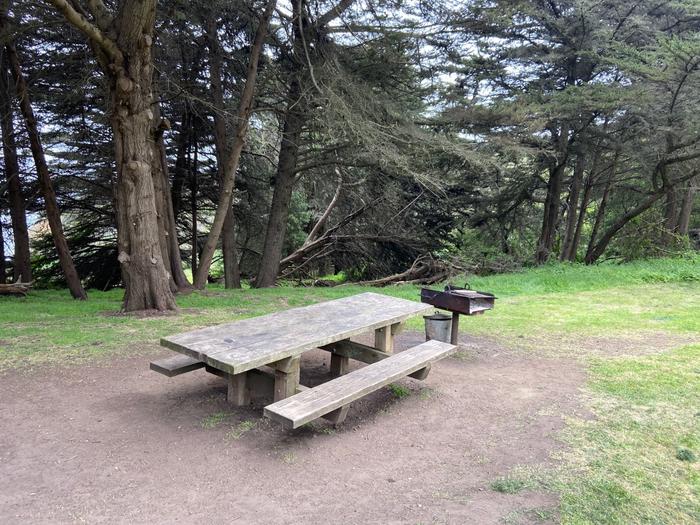 Picnic table is next to grill near cypress trees.Close up of picnic table and BBQ at Site 3.