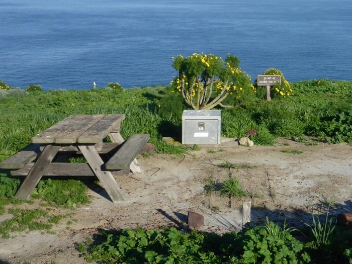 Picnic table and food storage box surrounded by low bushes and grass overlooking ocean.  SANTA BARBARA ISLAND AREA - 003